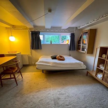 Cozy And Spacious Guest Room,